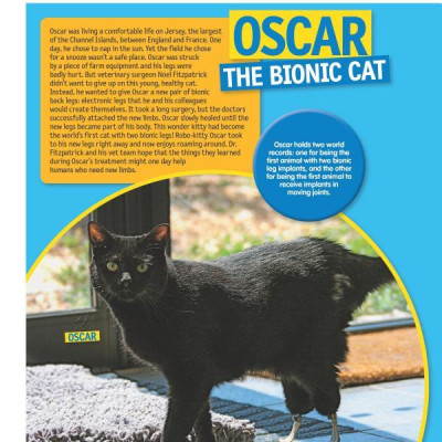 125 Animals That Changed The World