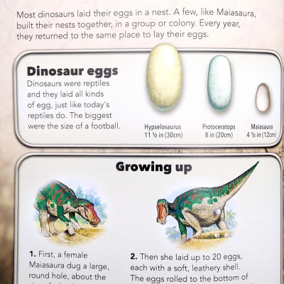My Best Book Of Dinosaurs