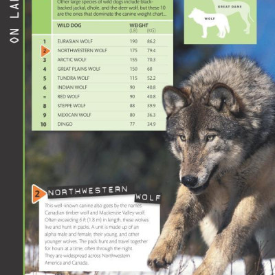 Top 10 of Everything 2018