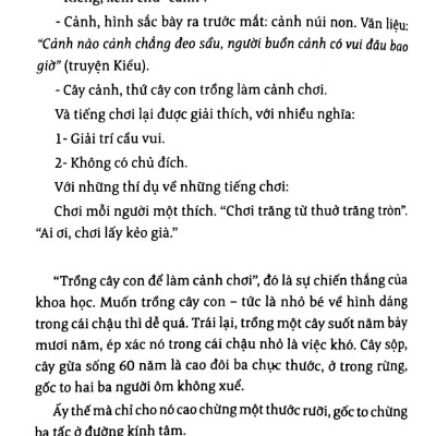 Gốc Cây, Cục Đá & Ngôi Sao - Danh Thắng Miền Nam