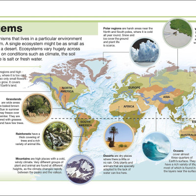 DK Pocket Eyewitness: Science
