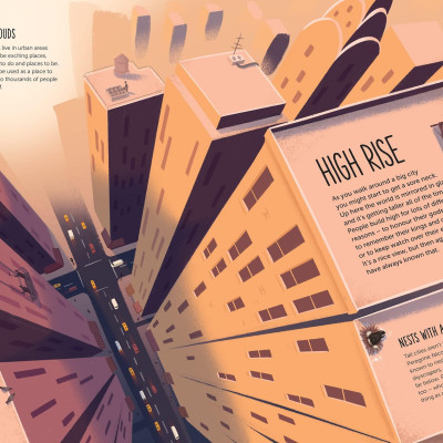 High: Soar To New Heights