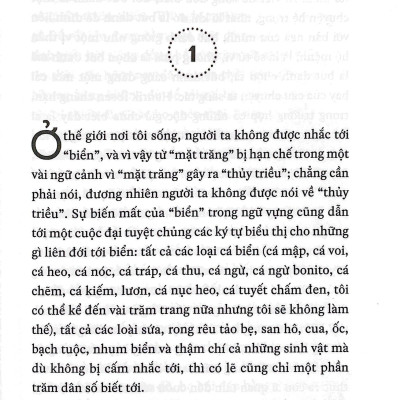 Quán Bar Trong Bụng Cá Voi