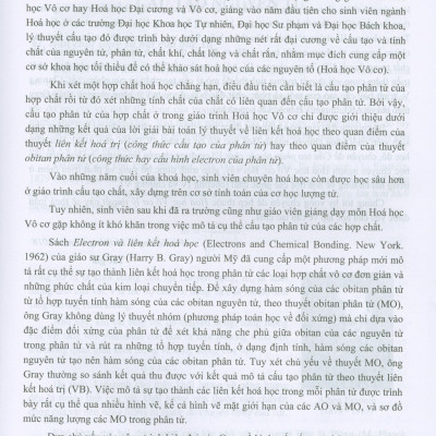 Cấu Tạo Phân Tử Các Chất Vô Cơ (Chuyên đề bồi dưỡng đại học và cao học về hóa vô cơ lý thuyết)