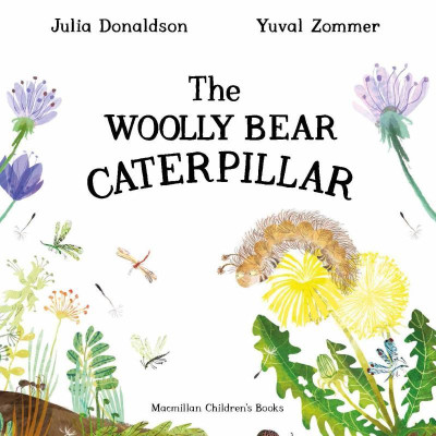 The Woolly Bear Caterpillar