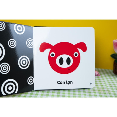 Sách - Kích thích thị giác và xúc giác - Cho trẻ 0 - 3 tuổi - Combo 4 Cuốn - Đinh Tị Books