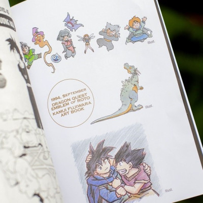 Dragon Quest - Dấu Ấn Roto (Dragon Quest Saga Emblem Of Roto) Perfect Edition - Tập 9