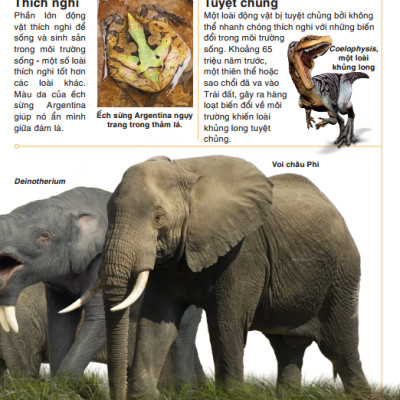 Tri Thức Trong Lòng Bàn Tay - Bách Khoa Thiếu Nhi - Động Vật (Bìa Cứng) (Tái Bản 2022)