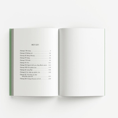 Sách - Gió đùa trong liễu - Đông A