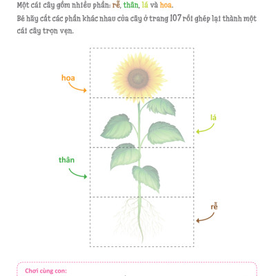 Cuốn Sổ Lớn Montessori - Về Khám Phá Thế Giới (Tái Bản 2023)