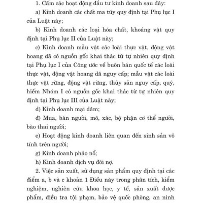 Luật đầu tư năm 2020 (sửa đổi, bổ sung năm 2020, 2023, 2024) bản in 2024