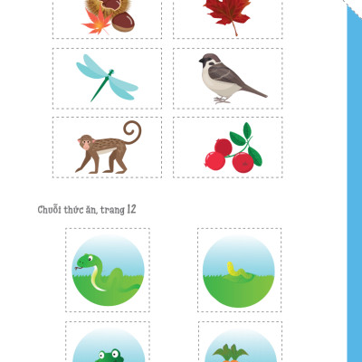 Cuốn Sổ Lớn Montessori - Về Khám Phá Thế Giới (Tái Bản 2023)