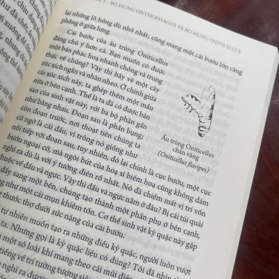 (Ấn bản đầy đủ nhất của Jean-Henri Fabre) CÔN TRÙNG KÝ – Tập 5 - Jean-Henri Fabre - An Lạc Group dịch – Huy Hoàng Bookstore – bìa mềm