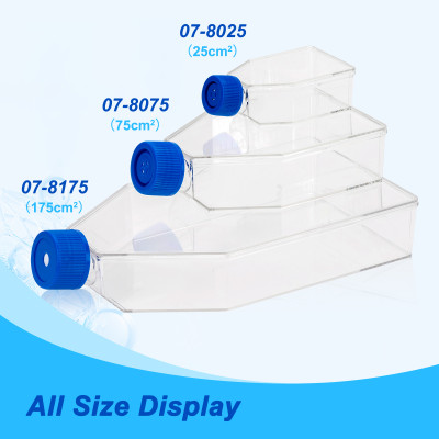 Bình/ Chai nuôi cấy tế bào 25cm2, nắp Filter/kín, 5 cái/gói-vô trùng (Cell Culture Flasks) Hàng chính hãng Biologix-USA