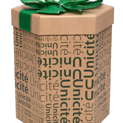 HỘP QUÀ LỤC GIÁC L012 - 16 X21 CM