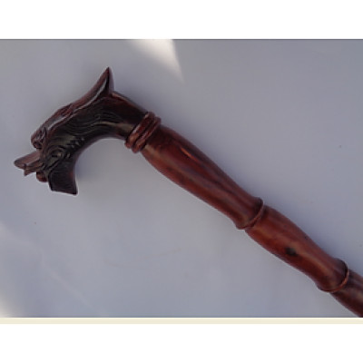 Batoong Cho Người Già