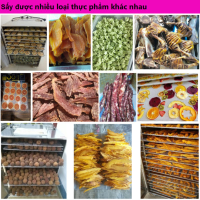Máy sấy thực phẩm chuyên nghiệp dung tích lớn 59 lít 10 khay thương hiệu Mỹ Septree ST-01 - Hàng Nhập Khẩu