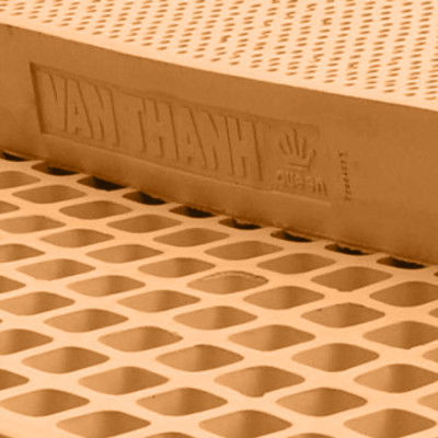 Nệm Cao Su Vạn Thành Standard VTCS1010 (100 x 200 x 10 cm)