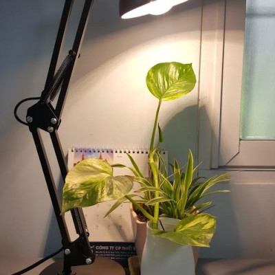 Đèn quang hợp, đèn trồng cây trong nhà 9W, chiếu sáng quang hợp cho cây xanh - Hàng Chính hãng Rạng Đông