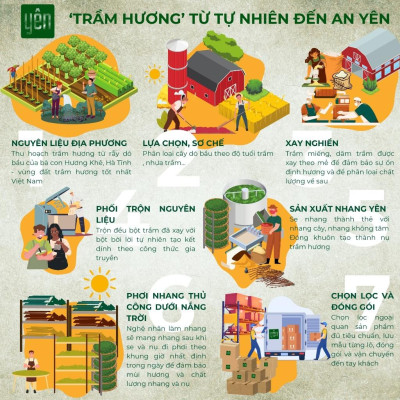 Nụ Trầm Hương Giá Sỉ Yên Loại Thân, Tâm, Tuệ Sạch Tự Nhiên Ít Khói An Toàn Dùng Thiền Thư Giãn