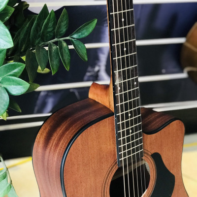 Đàn Guitar Acoustic Rosen G15