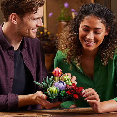 Đồ Chơi LEGO Sen Đá 10309 (771 chi tiết)