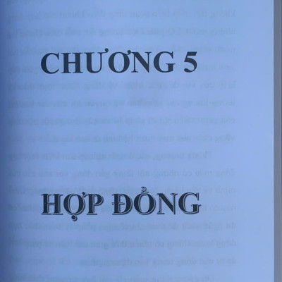 Pháp lý dành cho CEO