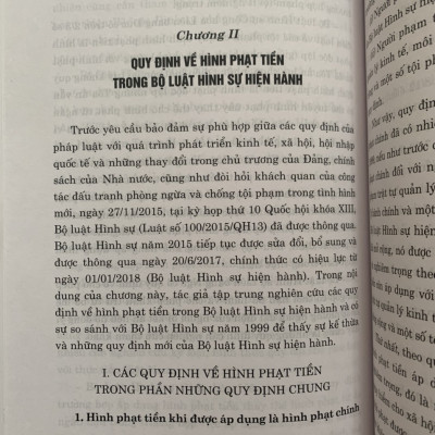 Sách - Hình phạt tiền trong pháp luật hình sự Việt Nam và thực tiễn áp dụng