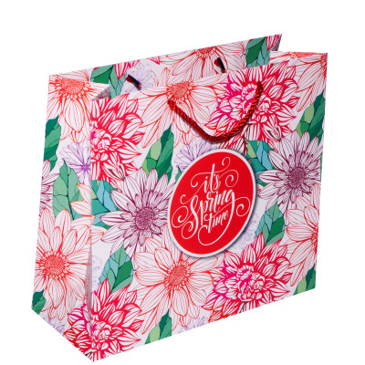 TÚI DÂY NGANG LỚN TN010 - 27 X 30 X 12 CM - NGẪU NHIÊN