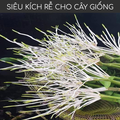 Phân bón siêu kích rễ cây cảnh, hoa lan BioRoot, giúp kích rễ cây mọc nhanh, cây khỏe mạnh, dùng cho cả vườn ươm cây non, an toàn cho cây và người, dung tích 500ml thương hiệu chính hãng Docneem