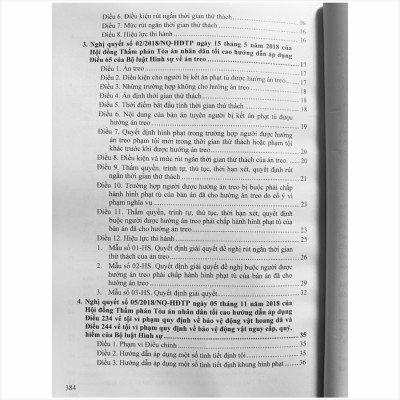 Sách Hệ Thống Các Nghị Quyết Của Hội Đồng Thẩm Phán Tòa Án Nhân Dân Tối Cao về Hình Sự, Tố Tụng Hình Sự (V2460T)