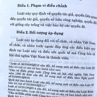 Luật Sở hữu trí tuệ năm 2005 ( Sửa dổi, bổ sung năm 2009,2019 )