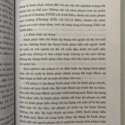 Hình Phạt Tiền Trong Pháp Luật Hình Sự Việt Nam Và Thực Tiễn Áp Dụng (Sách Chuyên Khảo)