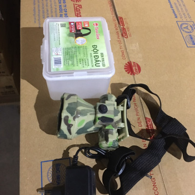 Đèn Pin LED Đội đầu Chính Hãng Rạng Đông Model: LED PDD02L 3W