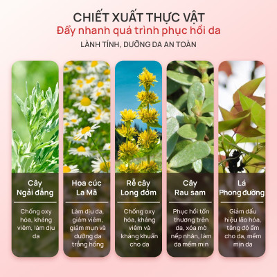 Combo 5 miếng Mặt nạ thạch dừa Biocellulose Mask Babemon dưỡng sáng da, cấp ẩm, phục hồi, làm mờ dấu hiệu lão hóa da