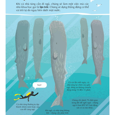 Sách 100 Bí Mật Kinh Ngạc - 100 Bí Ẩn Đáng Kinh Ngạc Về Các Đại Dương