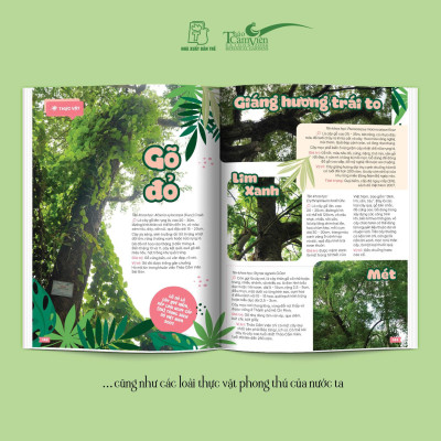 (Bìa cứng) THẢO CẦM VIÊN SÀI GÒN - Kho Báu Trong Lòng Thành Phố