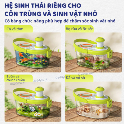 Hộp nuôi quan sát côn trùng Mideer insect box