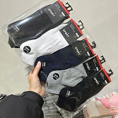 5 đôi Vớ tất nam cổ gắn màu trung tính thêu nổi chữ N thông hơi