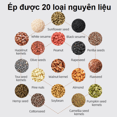 Máy ép dầu ăn thực vật Nóng và Lạnh thương hiệu Mỹ Septree Z5 1100W - Hàng nhập khẩu (Bảo Hành 12 Tháng)