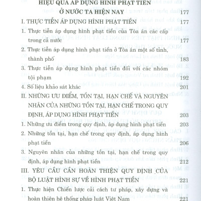 Hình Phạt Tiền Trong Pháp Luật Hình Sự Việt Nam Và Thực Tiễn Áp Dụng (Sách Chuyên Khảo)