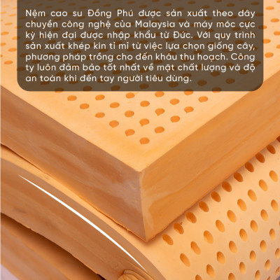 Nệm Cao Su Một Mặt Lỗ Đồng Phú DPCS1615 (160 x 200 x 15 cm)