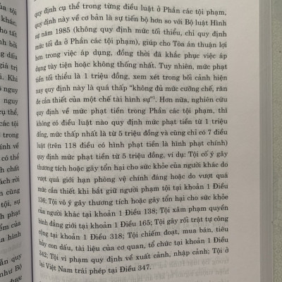 Hình Phạt Tiền Trong Pháp Luật Hình Sự Việt Nam Và Thực Tiễn Áp Dụng (Sách Chuyên Khảo)