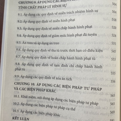 Áp Dụng Pháp Luật Hình Sự Lý Luận Và Thực Tiễn 