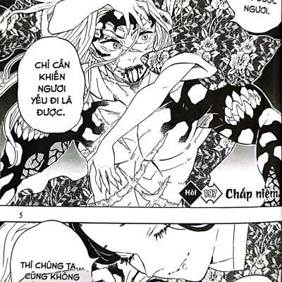 Sách - Thanh Gươm Diệt Quỷ - Kimetsu No Yaiba - Tập 23 - Vượt Qua Tháng Năm, Sinh Mệnh Tỏa Rạng (Tái Bản 2025)