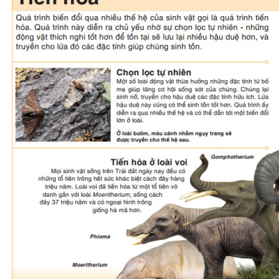 Tri Thức Trong Lòng Bàn Tay - Bách Khoa Thiếu Nhi - Động Vật (Bìa Cứng) (Tái Bản 2022)