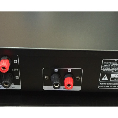 Amply Pronest P2 (300 loa)