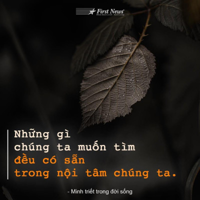 Minh Triết Trong Đời Sống (Nguyên Phong dịch)