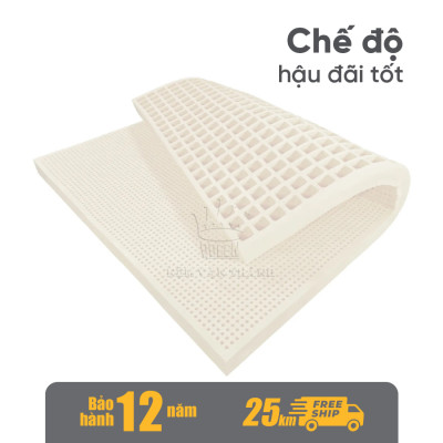 Nệm Cao Su Vạn Thành Standard VTCS1615 (160 x 200 x 15 cm)