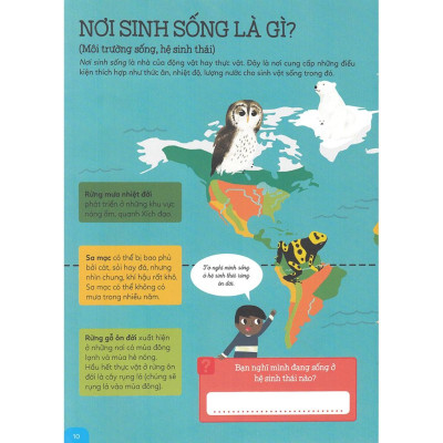 Sách - Combo Khám Phá Rừng Già Động Vật Hoang Dã + Du Hành Ngược Thời Gian Đến Xứ Sở Khủng Long - First News